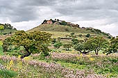 Sardinian landscape in spring